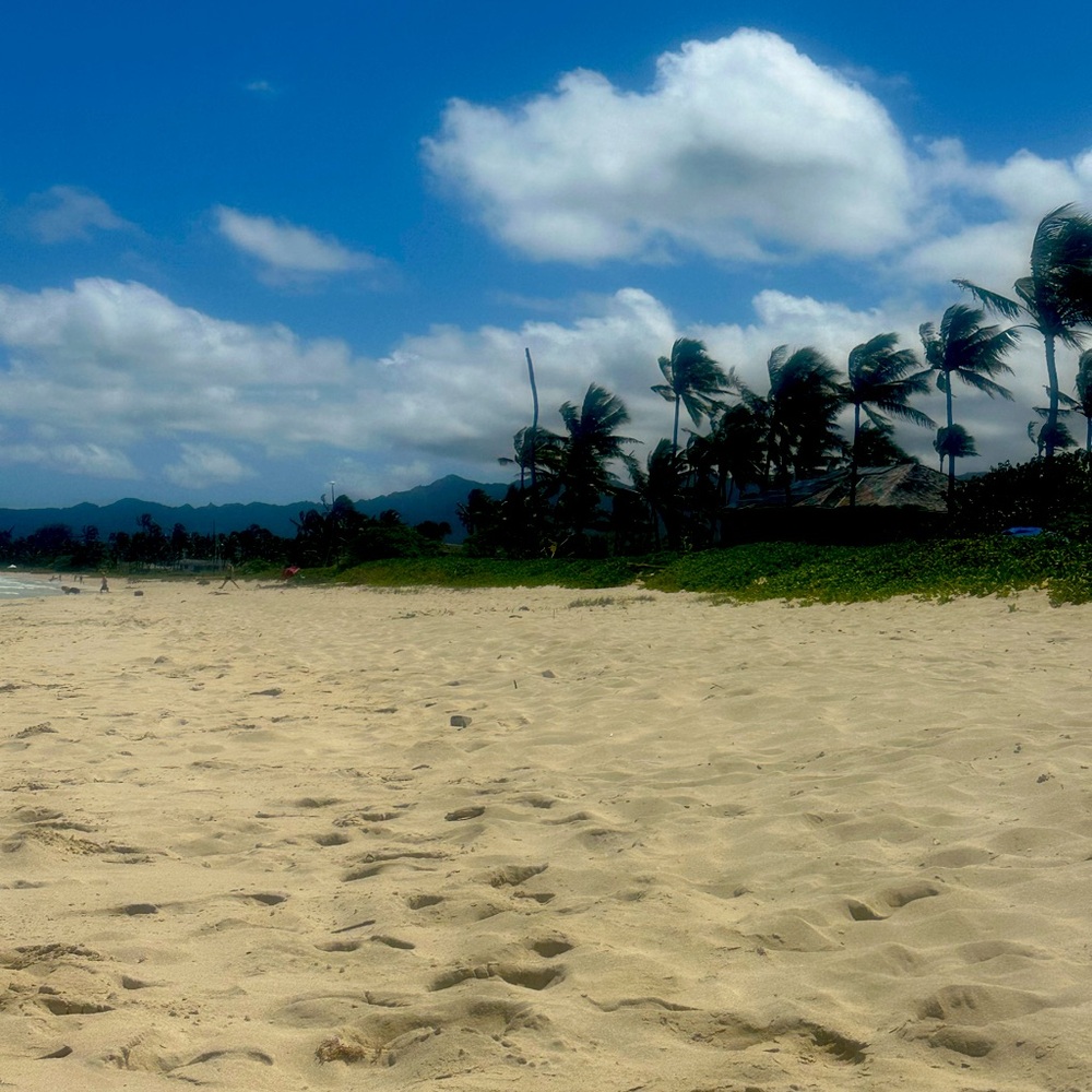 👚 DEVON’s CLOSET LIVE SHOW ITEM 🌺